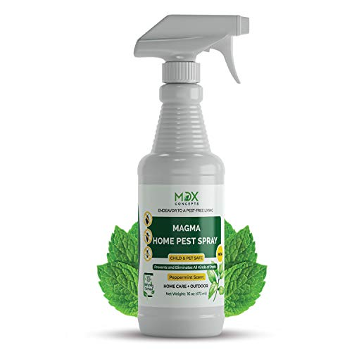 mdxconcepts Organic Home Pest Control Spray - Kills & Repels, Ants, Roaches, Spiders, and Other Pests Guaranteed - All Natural - Pet Safe - Indoor/Outdoor Spray - 16oz