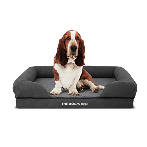 10 Best Orthopedic Dog Bed For After Surgery