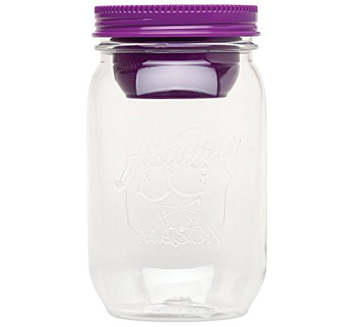 Aladdin Classic Mason Salad Jar, Berry, 1 Litre