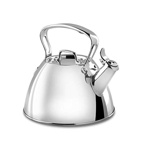 10 Best Large Stainless Steel Tea Kettle