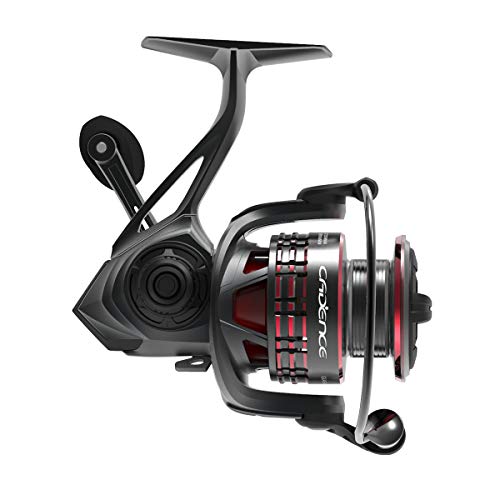 Cadence Stout Saltwater Spinning Reel, Smooth 7 + 1 Sealed Ball Ball Bearing System, Anti-Corrosion Saltwater Treatment, Saltwater Big Game, Powerful Carbon Fiber Drag with 41 lbs Drag (Stout-3000)