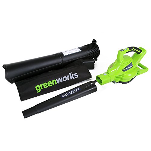 10 Best Cordless Leaf Blower For Gutters