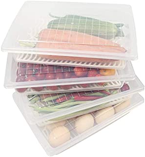 Yiautao Food Storage Container, Plastic Food Containers with Removable Drain Plate and Lid, Stackable Portable Freezer Storage Containers - Tray to Keep Fruits, Vegetables, Meat and More (4)