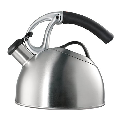 10 Best Good Whistling Tea Kettle