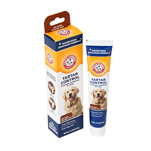 Arm & Hammer Dog Dental Care