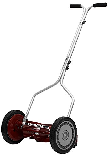 10 Best Rotary Lawn Mower For Stripes