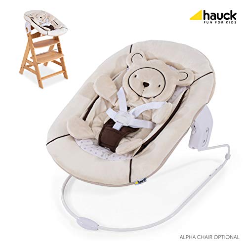 Hauck Alpha Bouncer 2 in 1 Newborn Set