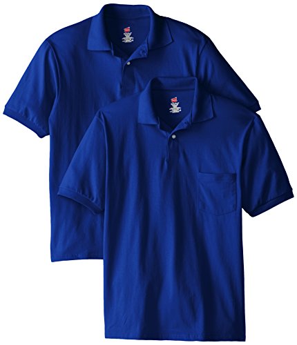 Hanes Men's Short Sleeve Jersey Pocket Polo, Deep Royal, 4X-Large (Pack of 2)