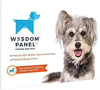 Wisdom Panel Dog DNA Test Kit - Canine Breed Identification