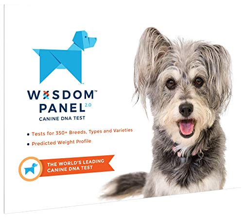 Wisdom Panel Dog DNA Test Kit - Canine Breed Identification