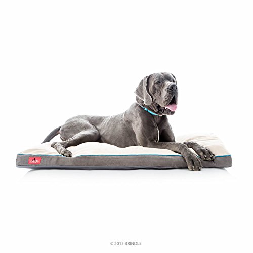 Brindle Soft Shredded Memory Foam Dog Bed