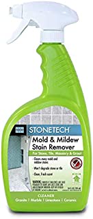 StoneTech Mold & Mildew Stain Remover