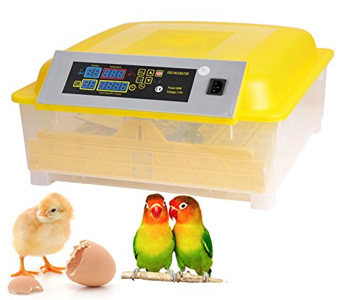 Kemanner Automatic 48 Digital Clear Egg Incubator Hatcher Egg Turning Temperature Control 80W US Plug (48egg)