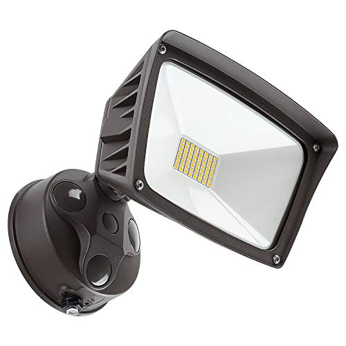 LEONLITE LED Outdoor Flood Light