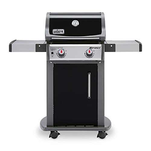 10 Best Grills Under 600 Dollars