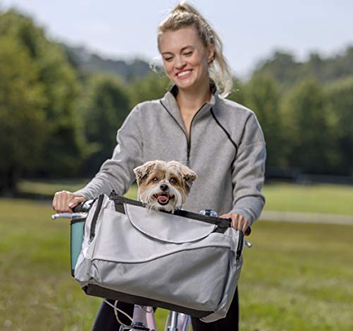 10 Best Bicycle Baskets For Dogs