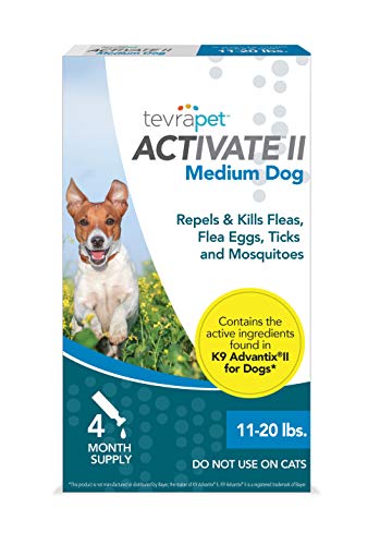 10 Best Dog Flea Prevention