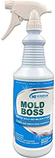 Mold Boss (32 oz) | Professional Mold & Mildew Remover, Cleaner