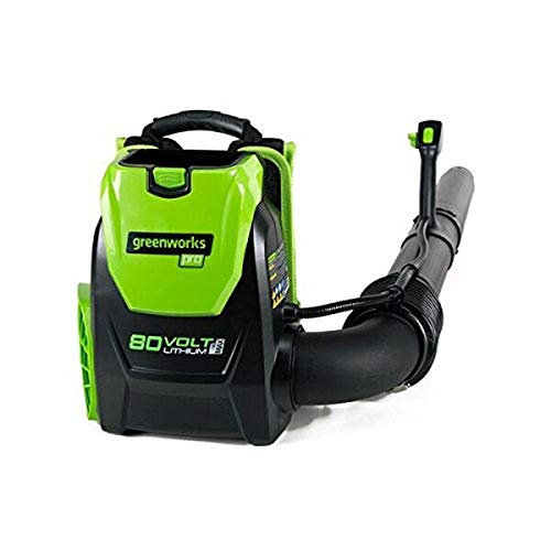 10 Best Backpack Leaf Blower Under 200