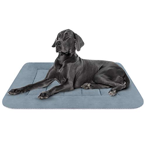 10 Best Outdoor Dog Beds For Great Danes