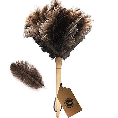 Ostrich Feather Duster,Feather Duster Fluffy Natural Genuine Ostrich Feathers with Wooden Handle and Eco-Friendly Reusable Handheld Ostrich Feather Duster Cleaning Supplies, Gray and Brown(Length 16