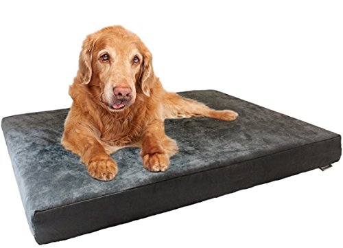 Dogbed4less Orthopedic Dog Bed with Memory Foam for Medium Large Pet, Waterproof Liner, Washable Microsuede Gray Cover, 41X27X4 Inch (Fit 42X28 Crate)