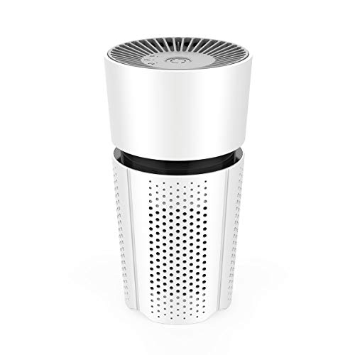 Air Purifier for Bedroom, Desktop Air Purifier for Home, HEPA Air Purifier with True Air Filters, Car Air Purifier, Low Noise Portable Air Purifier, USB Air Cleaner, Air Ionizer Freshener (M6)