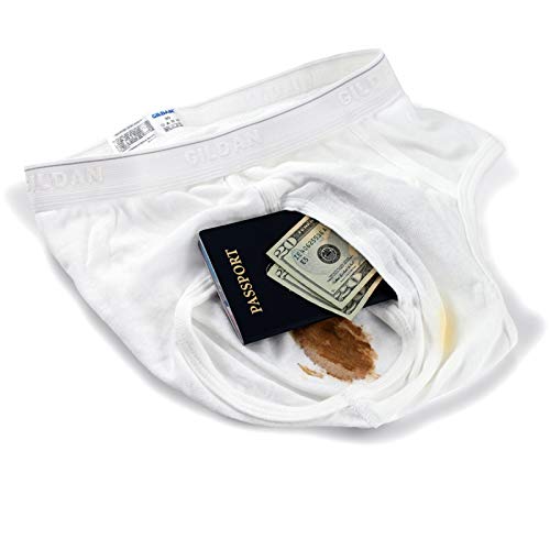 IGE Innovative Internet Products The Brief Safe Hidden Contents Travel Passport Wallet - Diversion Safe,White,Regular