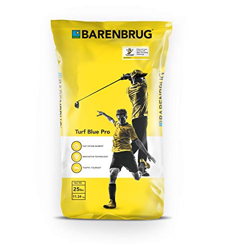 Barenbrug Turf Blue Pro Kentucky Bluegrass Grass Seed with Yellow Jacket Seed Coating - Drought Tolerant Seed for Use on Golf Courses, Sports Fields, Parks, Lawns, and Yards (25 LB Bag)