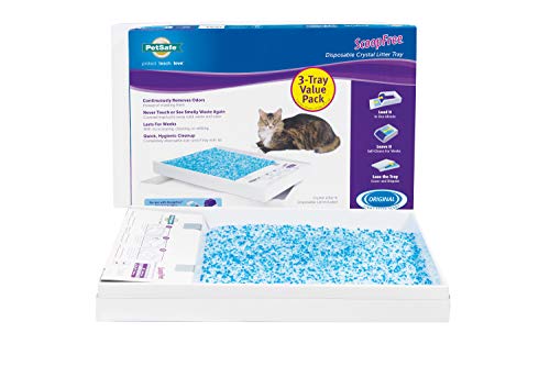 10 Best Self Cleaning Litter Boxes For Cats