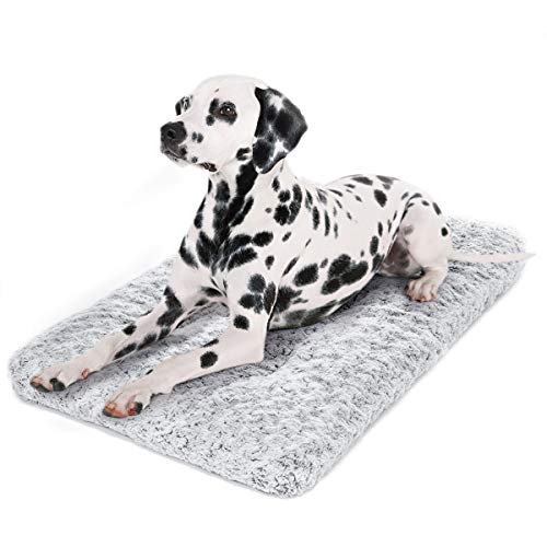 9 Best Dog Beds For Crates