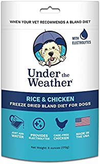 Under the Weather Pets | Rice & Chicken