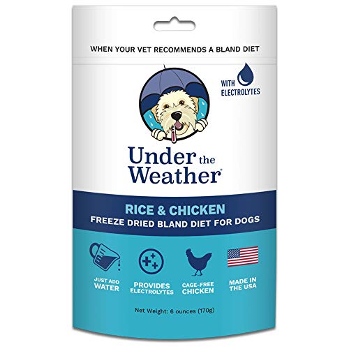 Under the Weather Pets | Rice & Chicken