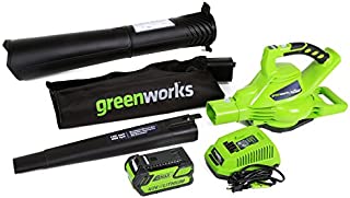 Greenworks 40V 185 MPH Leaf Blower/Vacuum