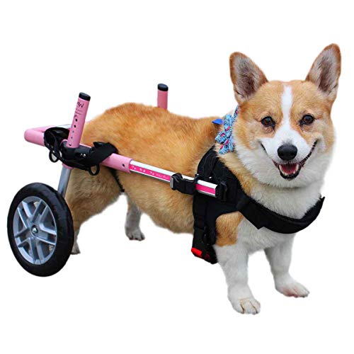 Walkin Wheels Corgi Wheelchair