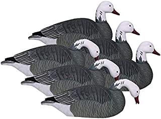 HARD CORE DECOYS Pro Series Blue Goose Feeder Shell Decoys with Realistic Paint Schemes for Fooling Adult Snow Geese | Pack of 6 Decoys | Two-Piece HDPE Construction | 14