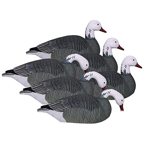 HARD CORE DECOYS Pro Series Blue Goose Feeder Shell Decoys with Realistic Paint Schemes for Fooling Adult Snow Geese | Pack of 6 Decoys | Two-Piece HDPE Construction | 14