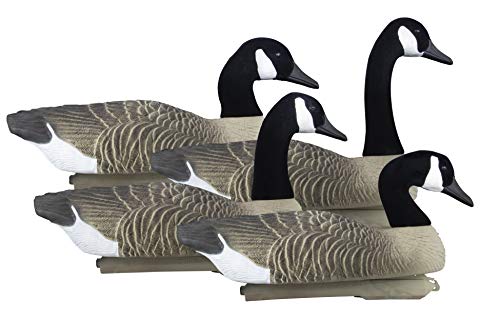 10 Best Decoys For Goose Hunting