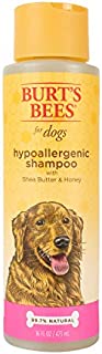 Burt's Bees for Pets for Dogs Natural Hypoallergenic Shampoo with Shea Butter and Honey| Puppy and Dog Shampoo, 16 Ounces, 473 ml (FF4849)