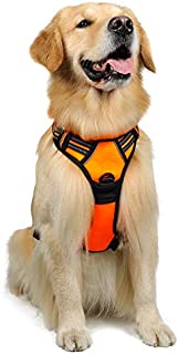 rabbitgoo Dog Harness