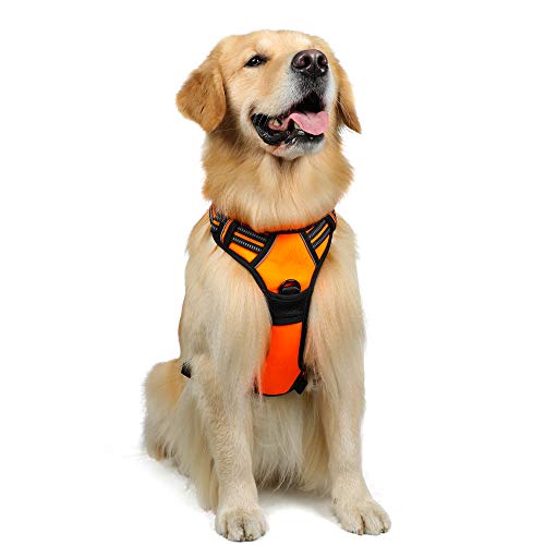 rabbitgoo Dog Harness