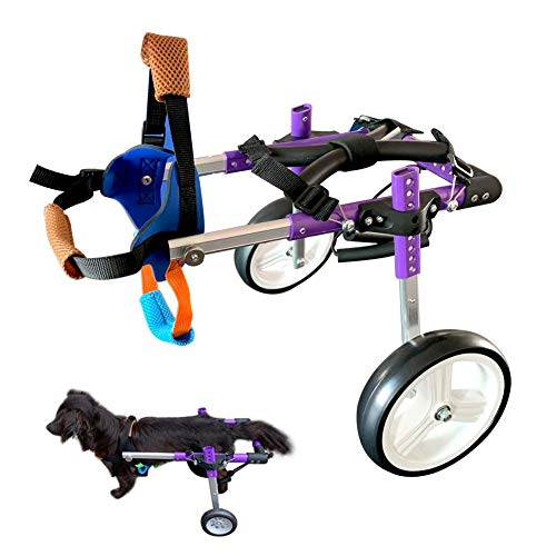 HiHydro Dog Wheelchair