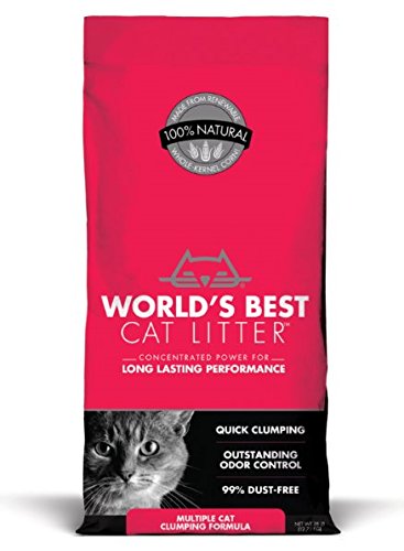 10 Best Biodegradable Cat Litters