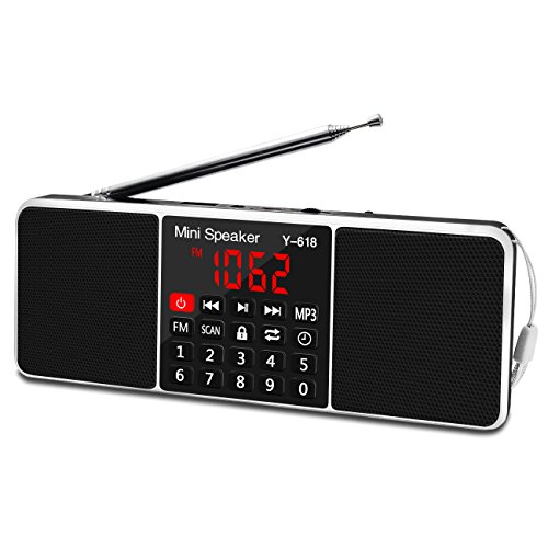 LEFON Multifunction Digital FM Radio Media Speaker MP3 Music Player Support TF Card USB Drive with LED Screen Display and Setting Timing Shutdown Function (Black)