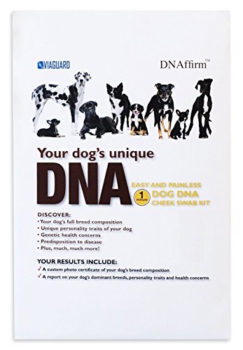 Dog DNA - Canine Breed Identification Test -DNAffirm