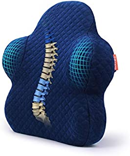 Back Support for Office Chair Lumbar Support Pillow for Car, Memory Foam Wheelchair Back Support Cushion for Back Pain Relief