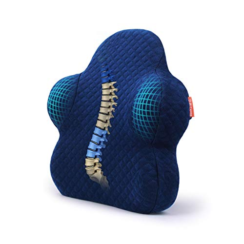 Back Support for Office Chair Lumbar Support Pillow for Car, Memory Foam Wheelchair Back Support Cushion for Back Pain Relief