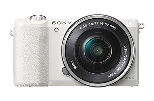 10 Best Mirrorless Camera For Beginners Travel