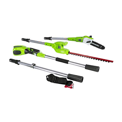 10 Best Pole Saws Available