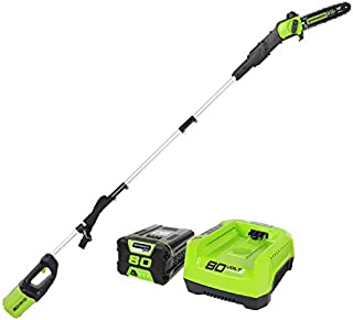 Greenworks PRO 80V 10 Brushless Cordless Polesaw, 2.0Ah Battery and Charger Included PS80L210